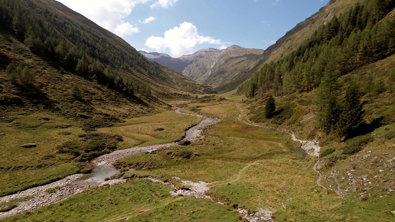 Erbe Österreich