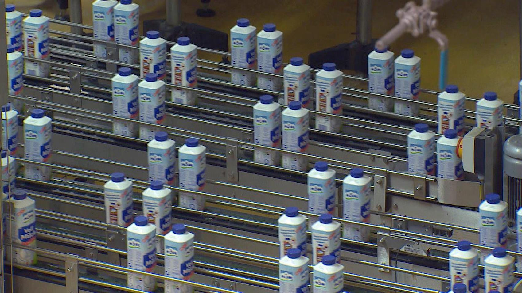 Milch bringt's - oder nicht?