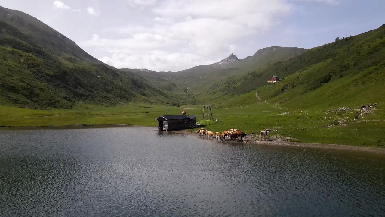 Rauf auf die Alm - Am Tappenkarsee